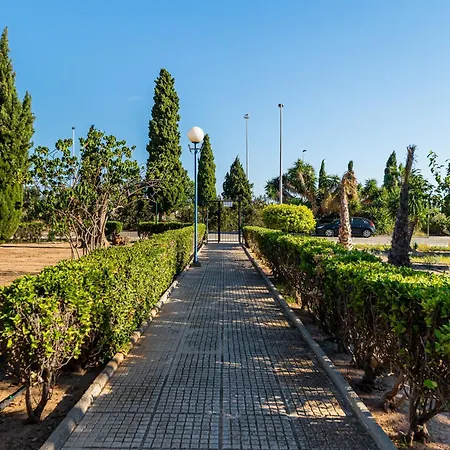 The Lemon Tree House Feriehus Torrevieja