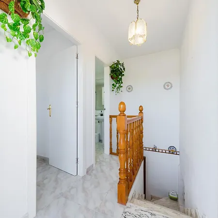 The Lemon Tree House *